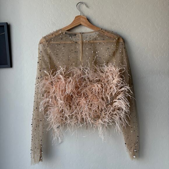 RÊVE RICHE Jasmina Feather Embellished Dusty Rose Sheer Long Sleeve Top Size 42 - Picture 6 of 11